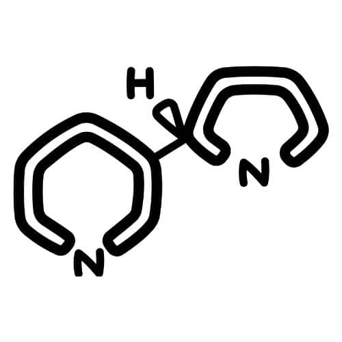 Nicotine Chemical Formula